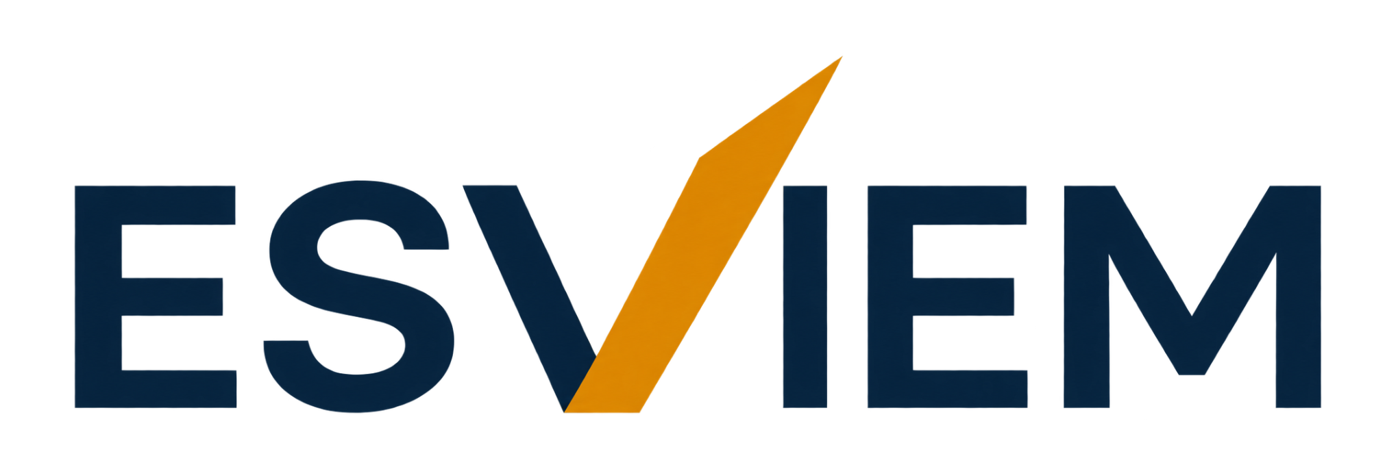 ESVIEM Consulting