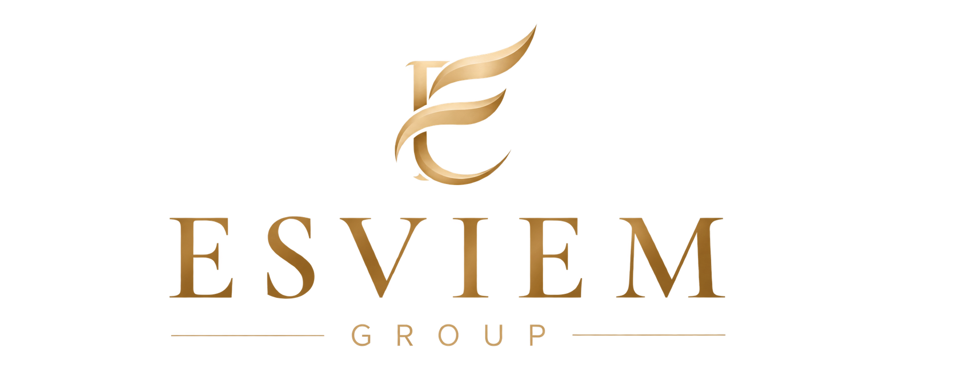 ESVIEM Investments & Ventures